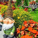 Etno Selo Eden 2* Zeravacki Potok