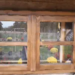Kapslový hotel Etno Selo Eden Zeravacki Potok