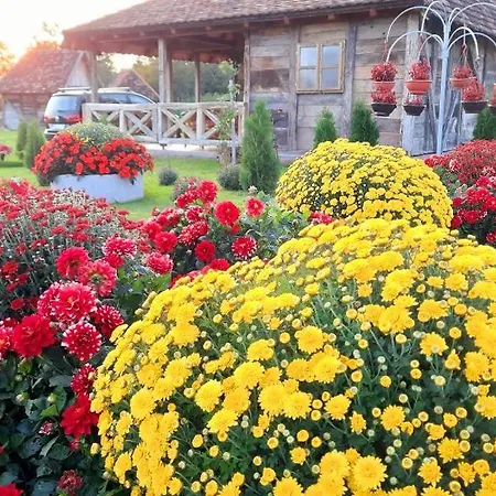Hotel kapsułowy Etno Selo Eden