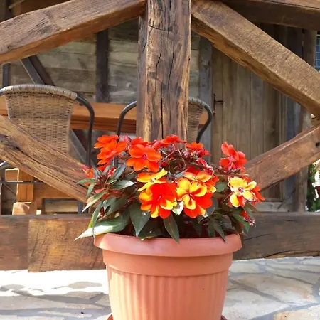 Etno Selo Eden カプセルホテル Zeravacki Potok