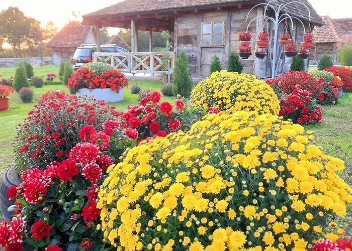 Capsule hotel Etno Selo Eden