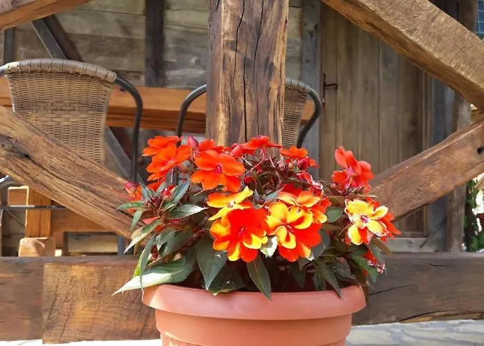 Etno Selo Eden Capsule hotel Zeravacki Potok